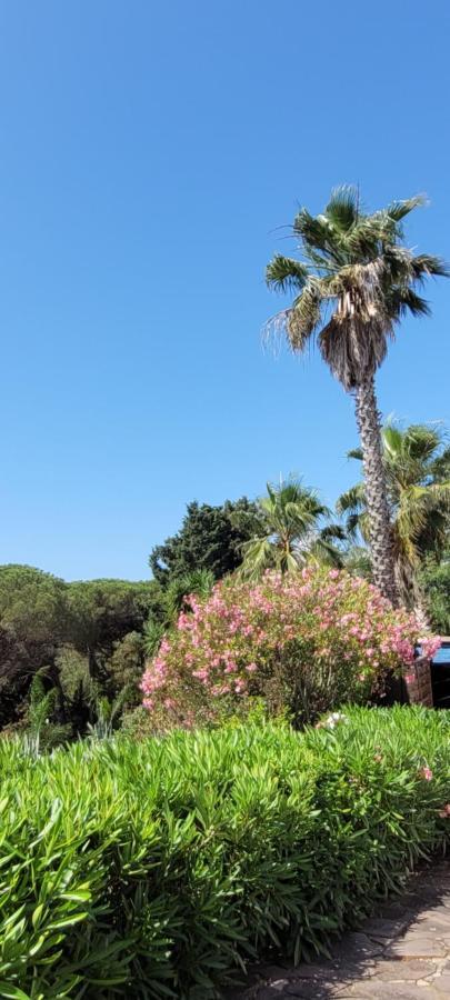 Villa Palm' Issambres 6-7 Personnes, Clim, Avec Piscine, Jardin Et Parking Prives La Garonnette-Plage Exterior foto